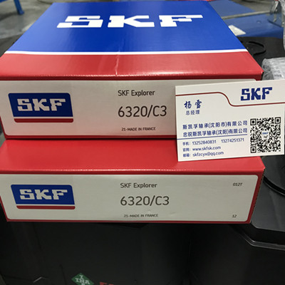 沈阳SKF轴承授权经销商销售6320C3