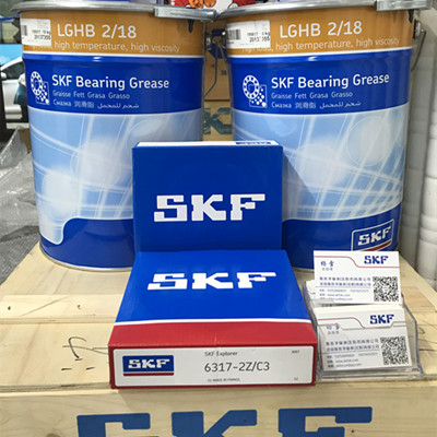 长春SKF润滑脂LGHB2/18斯凯孚授权经销商